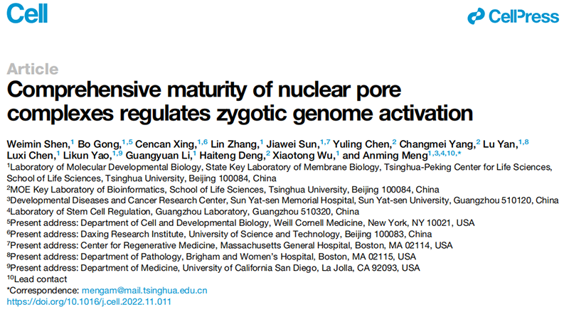 清華大學(xué)生命科學(xué)學(xué)院孟安明院士課題組揭示核孔復(fù)合體調(diào)控合子基因組激活新機制,全式金